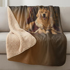 Pawcasso Beispiel
